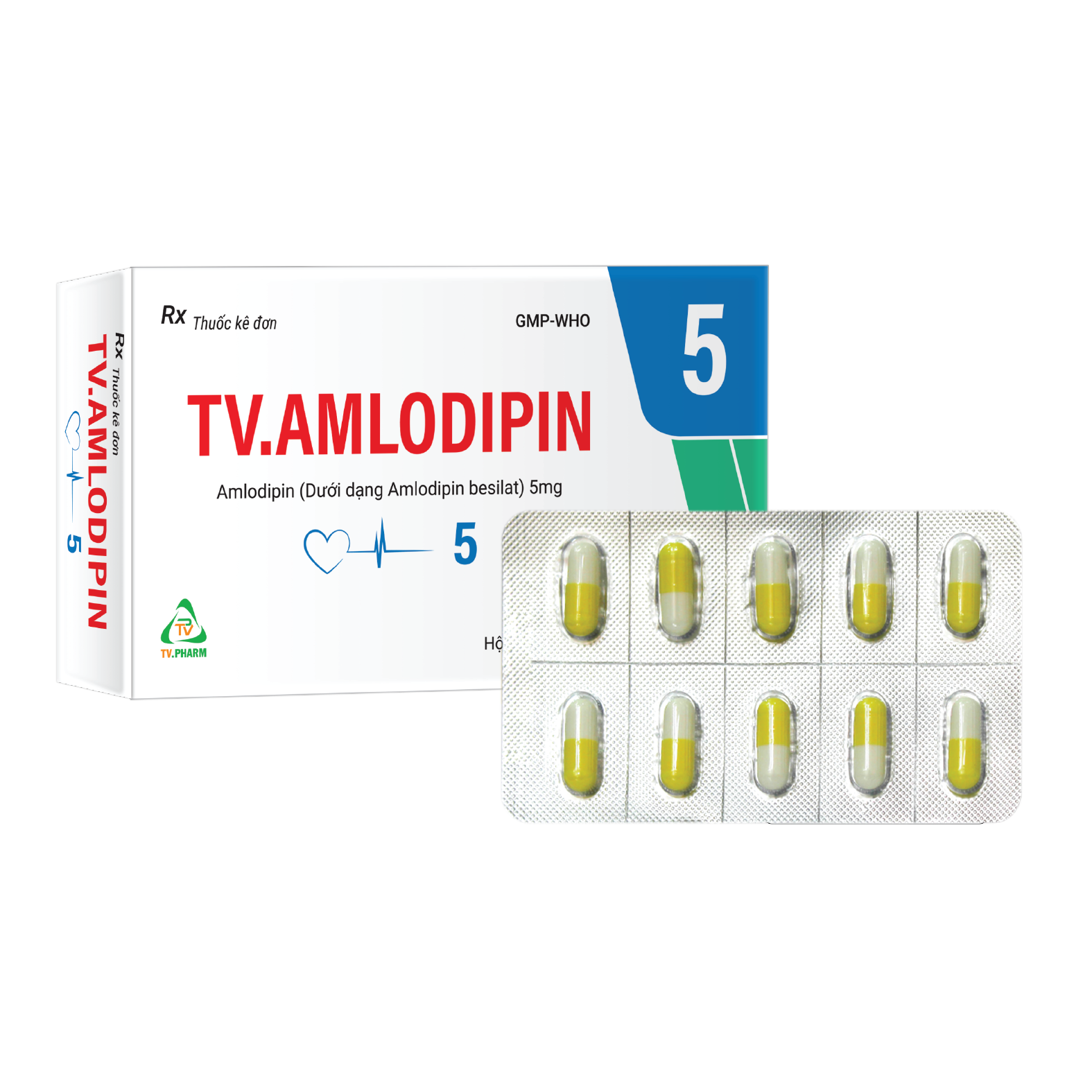 Viên nang cứng TV-Amlodipin 5mg v/10,h/30